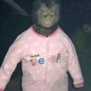 Meet your Posher, Erick